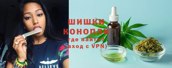 ГАЛЛЮЦИНОГЕННЫЕ ГРИБЫ Протвино