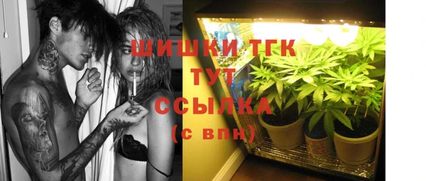 ГАЛЛЮЦИНОГЕННЫЕ ГРИБЫ Протвино