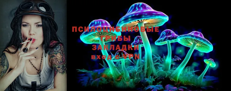 наркошоп  Аркадак  Галлюциногенные грибы Psilocybe 