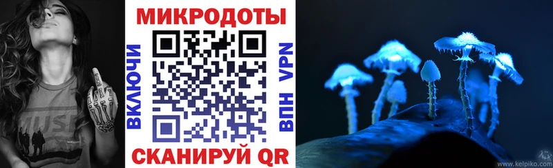 Галлюциногенные грибы прущие грибы  Аркадак 